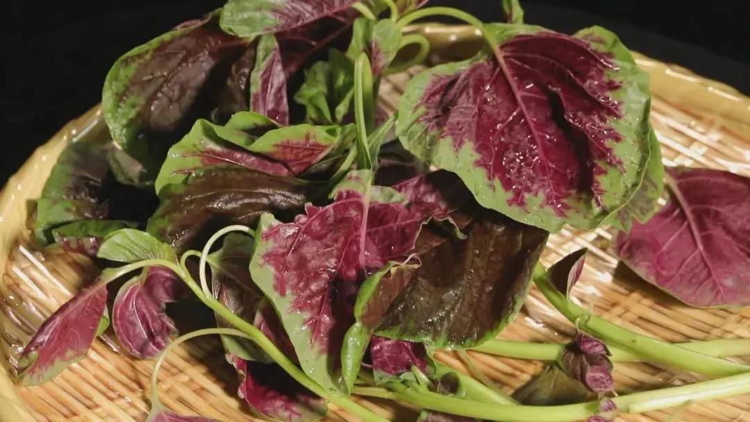 真正补钙的不是牛奶而是它,比喝牛奶更补钙的3个好方法