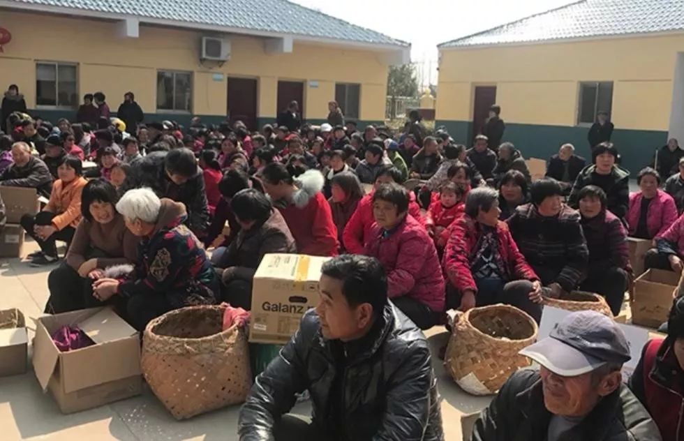 90后小伙卖鸡年入百万,农村90后创业养鸡