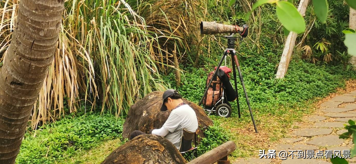 海口海甸岛白沙门公园夜景,海口旅游景点白沙门