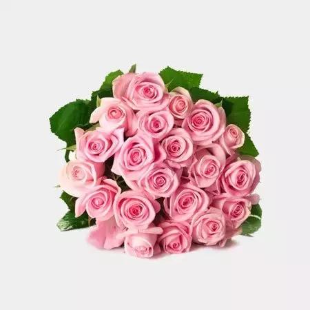 玫瑰大全｜说到玫瑰只能想到红玫瑰的，建议你好看看本文！