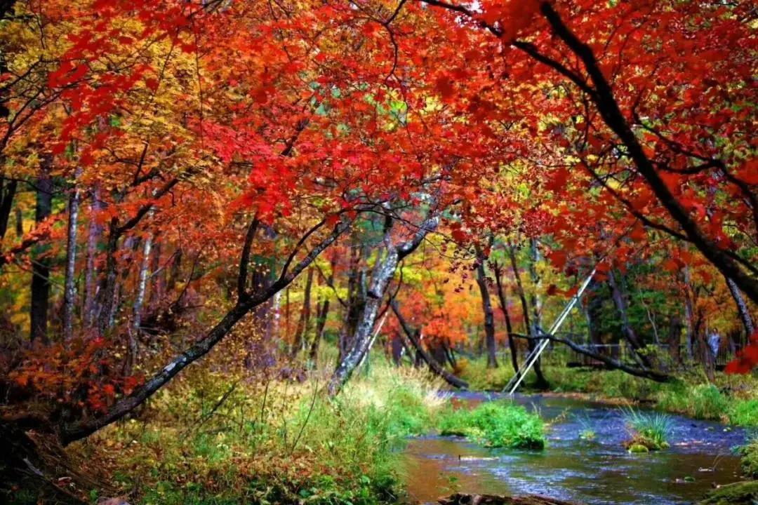 假期逛景区一大波优惠等着您,景点优惠活动视频