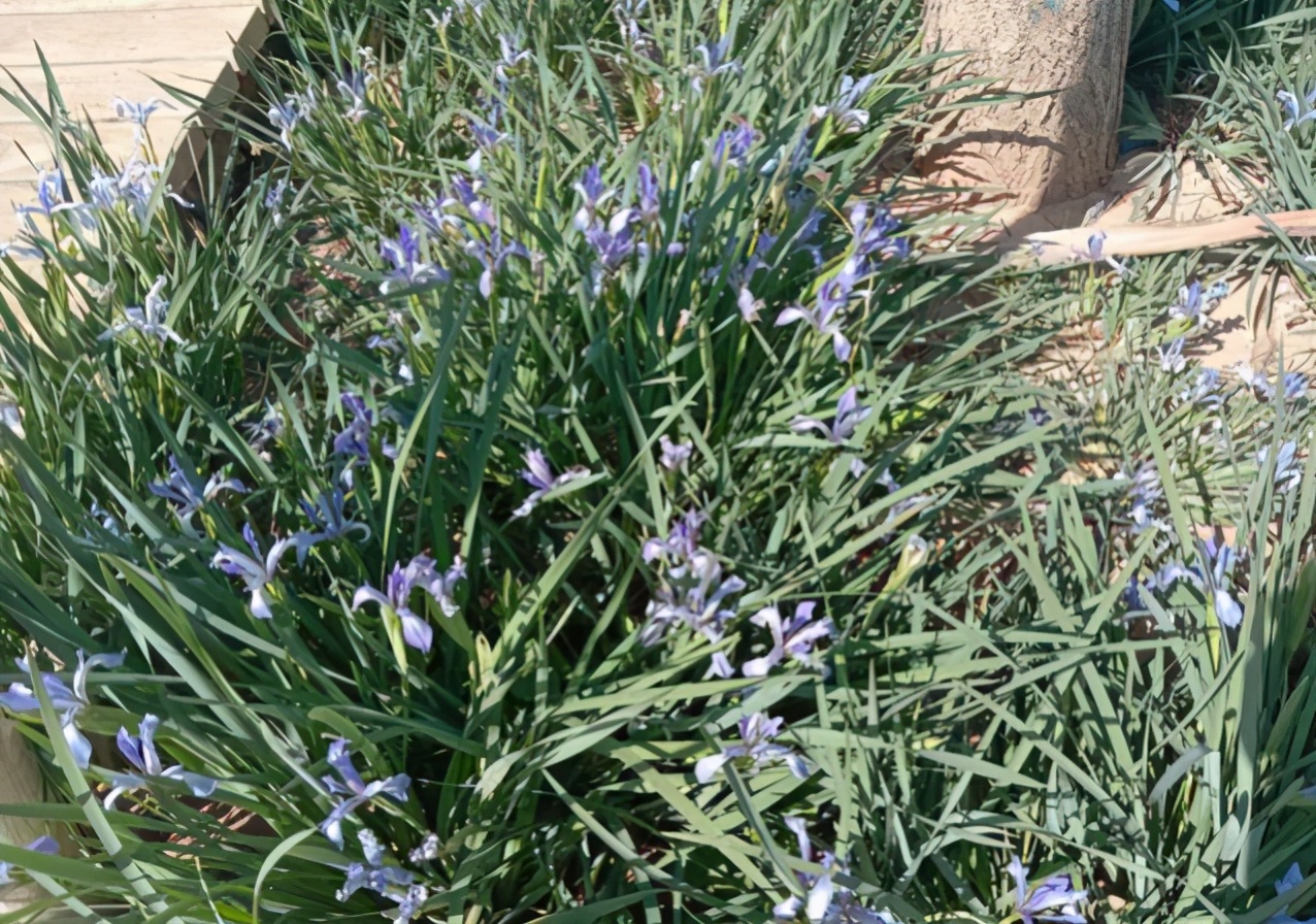 飞天奖衡水举行,飞天奖在衡水举办原因