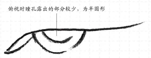 怎样画12种眼睛的不同画法,眼睛不会画