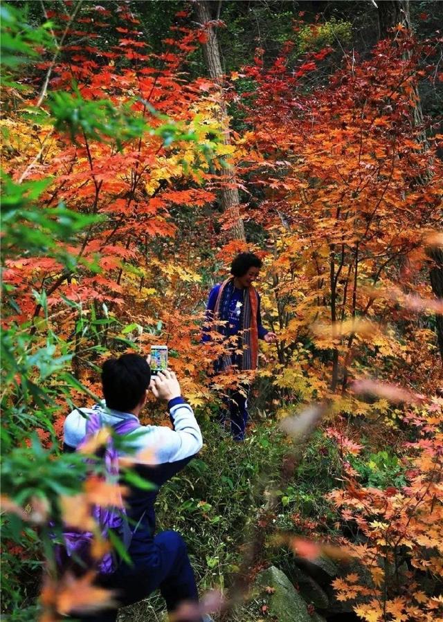 济南旅游景点推荐带孩子玩,济南旅游景点推荐适合带孩子