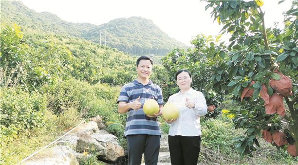 扶志扶智扶业铺就乡村振兴路——深圳对口帮扶汕尾工作纪实之五
