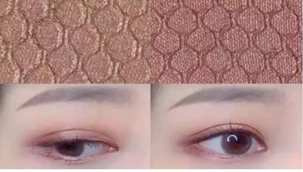 预算50元可以买什么好玩的,50元以下适合学生党买的蜥蜴