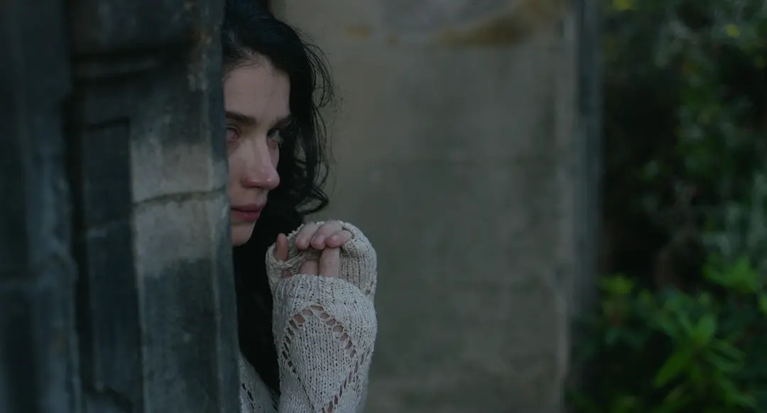 21年评分最高的电视剧,先看旺达幻视还是先看猎鹰与冬兵