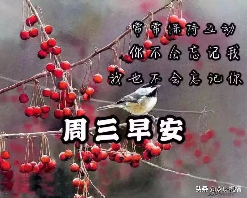 最新早上好问候祝福语带字的图片,周三早上好问候祝福语最新版