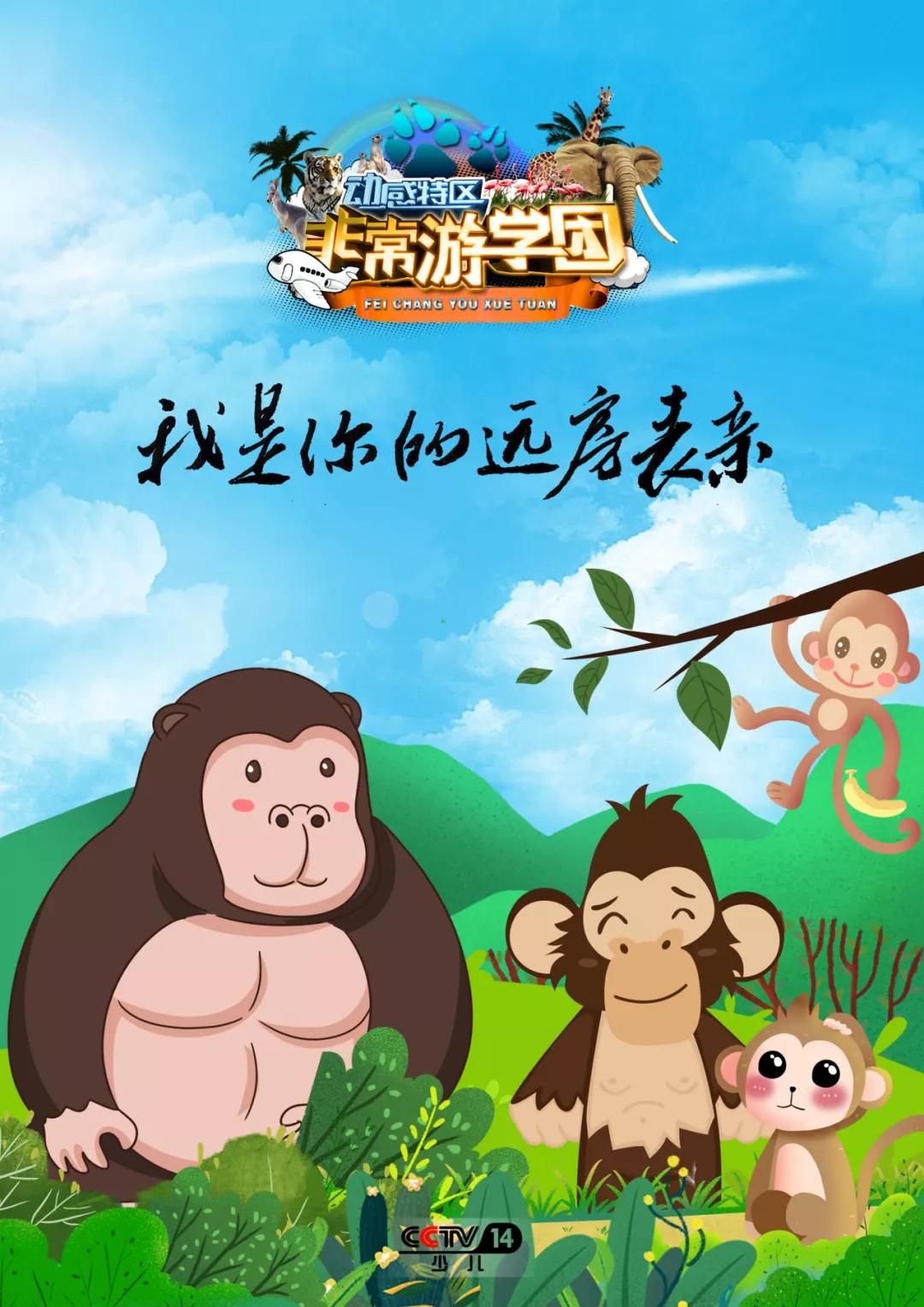 大熊猫相关知识,大熊猫百科知识详细介绍