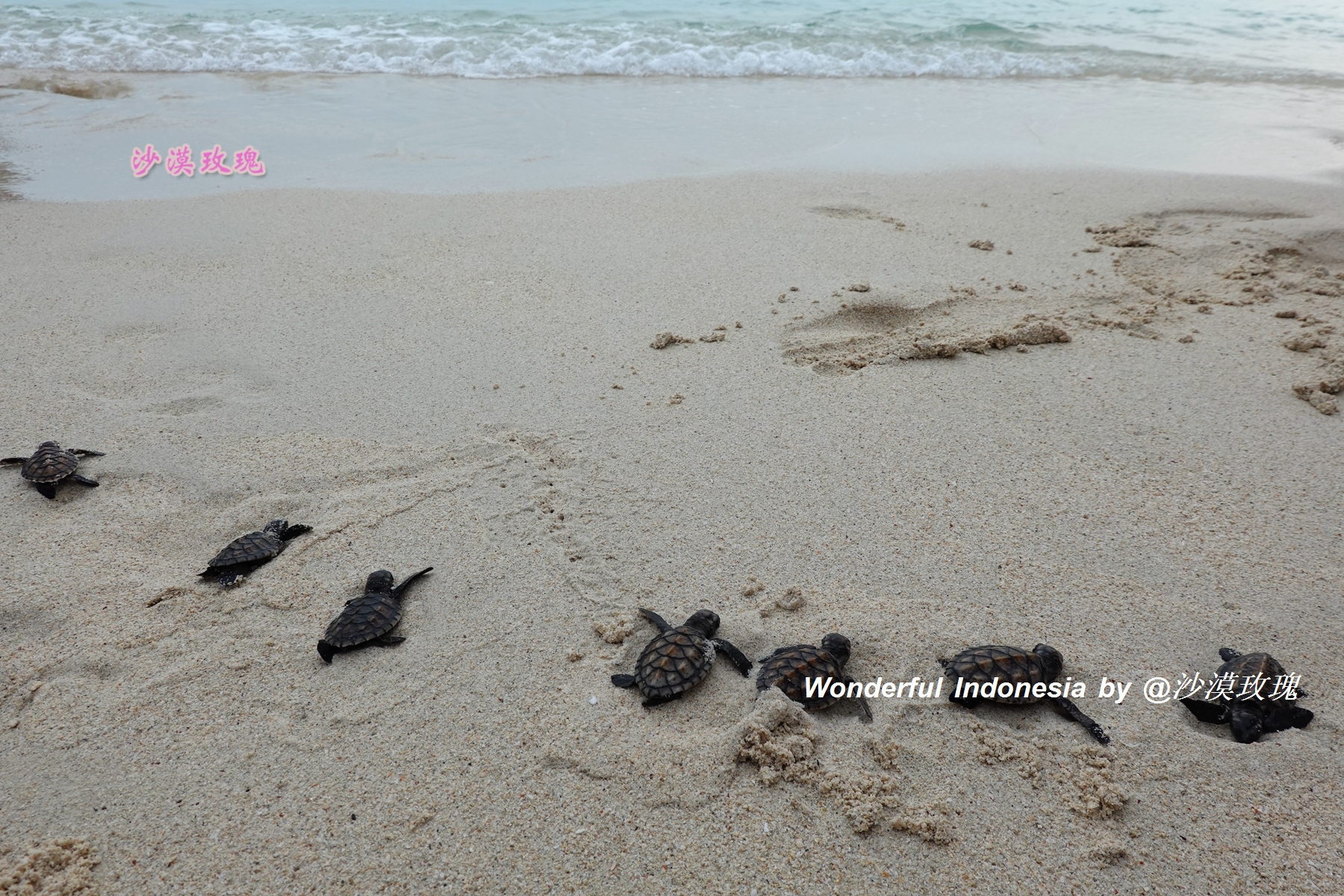 印尼跟团游深度探索当地人文风情,印尼朝圣之旅