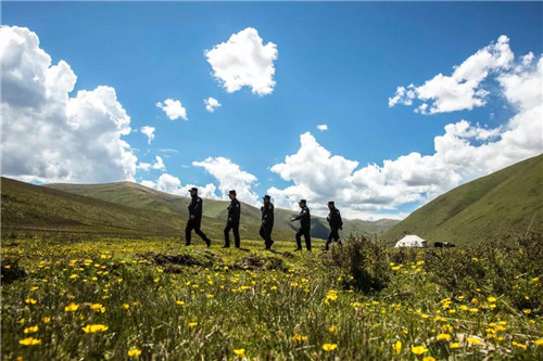 警察80岁,八零后白发民警