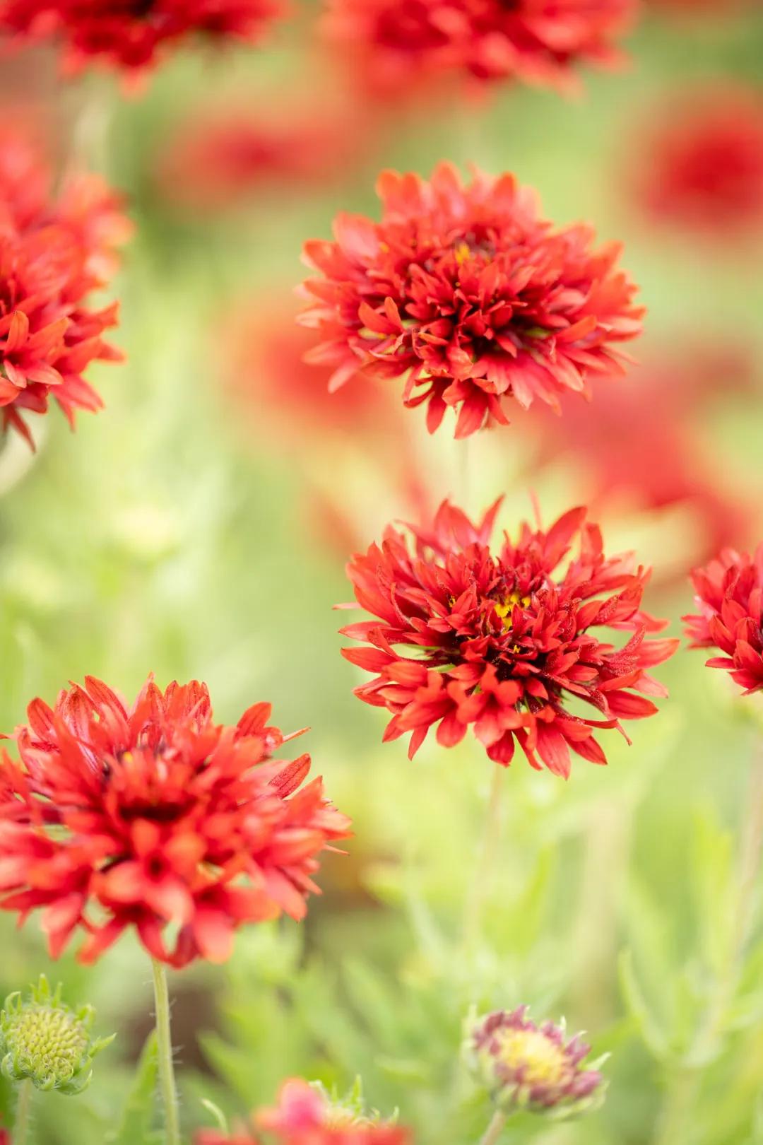 西安花海小森林,西安周边适合郊游野餐的地方