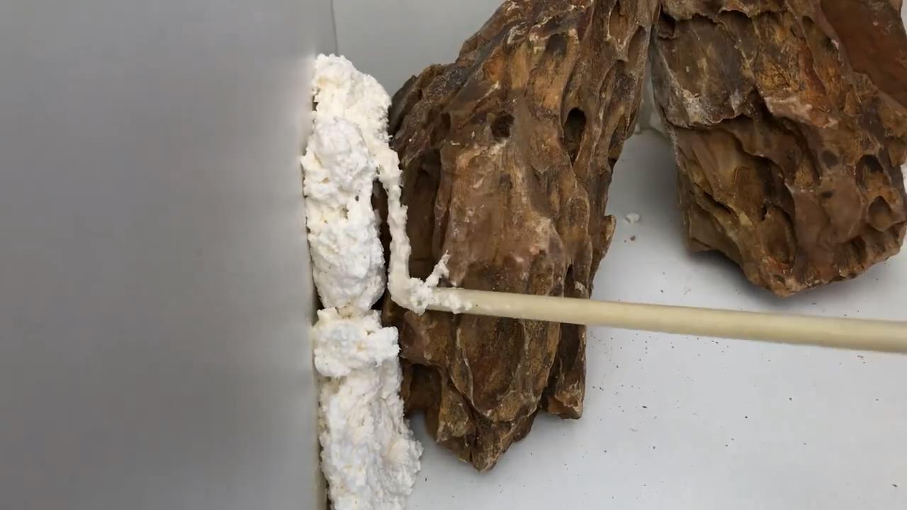 小草缸造景入门水草基本知识,小型草缸造景入门水草基本知识