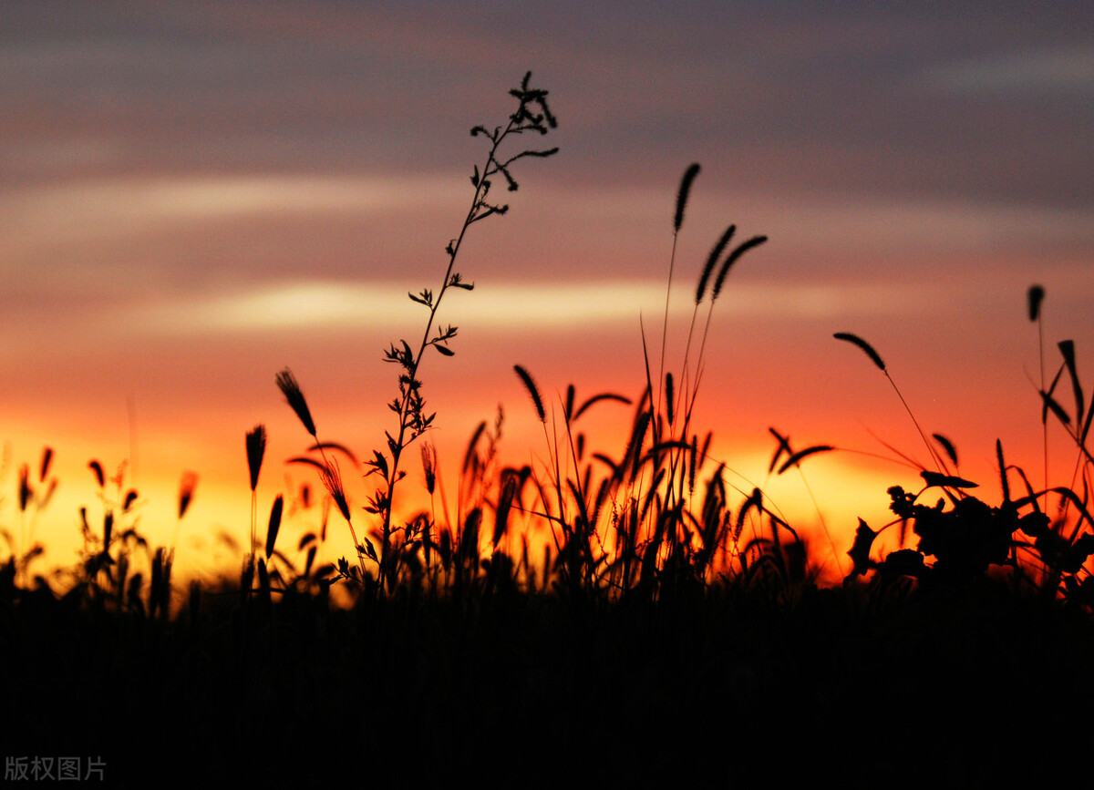 仕途之路的感悟,人在仕途感悟