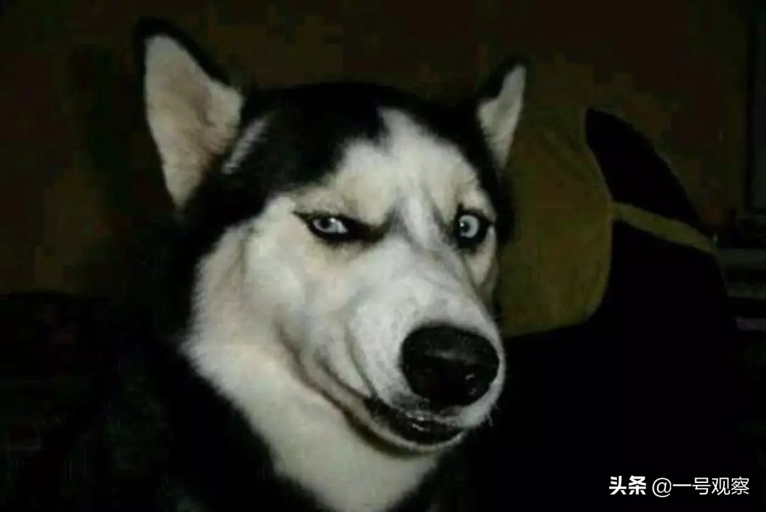 “洋指数”下的中国：媚外之风当休矣