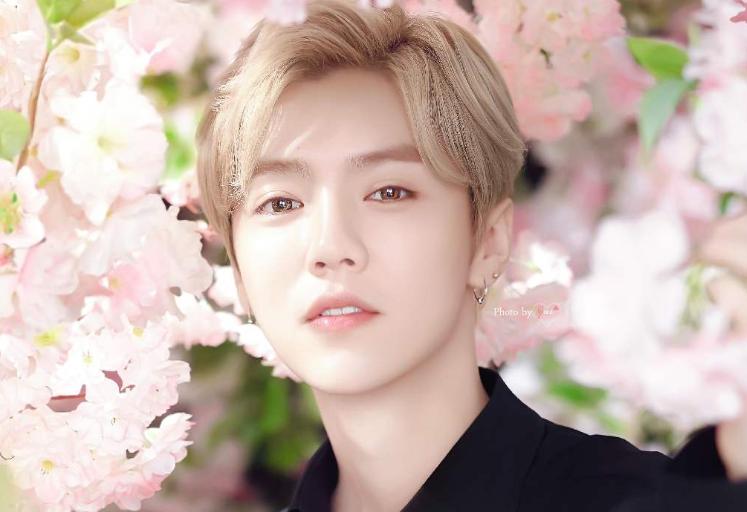 鹿晗脸部发福,鹿晗久违晒照造型梦回少年时期