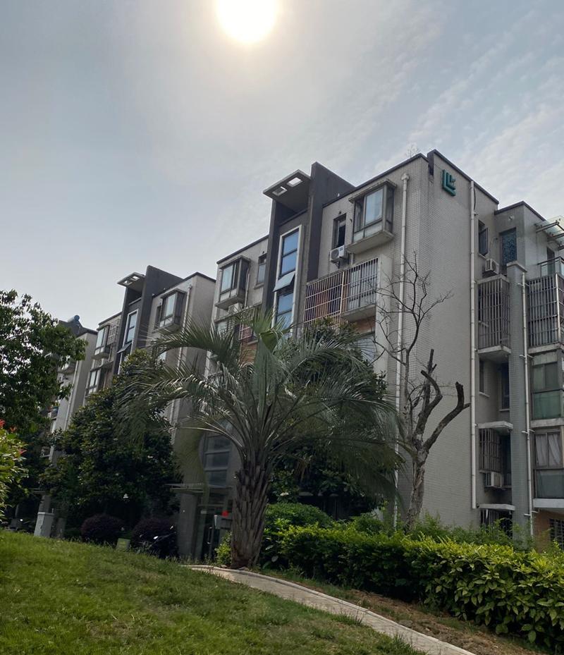 实探纯洋房新盘,南京仙林房价倒挂