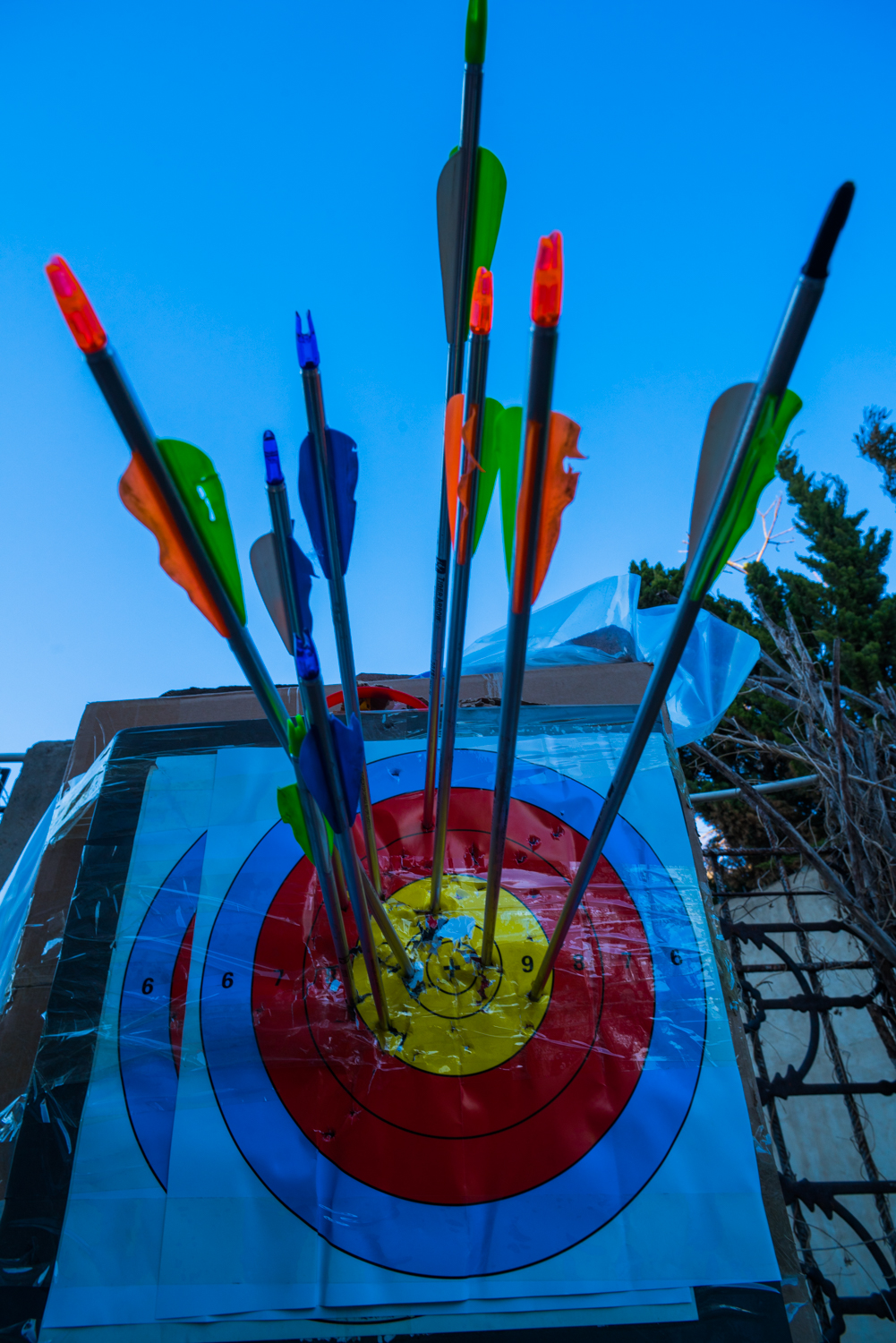 国产复合弓新手推荐,测试复合弓威力到底有多大