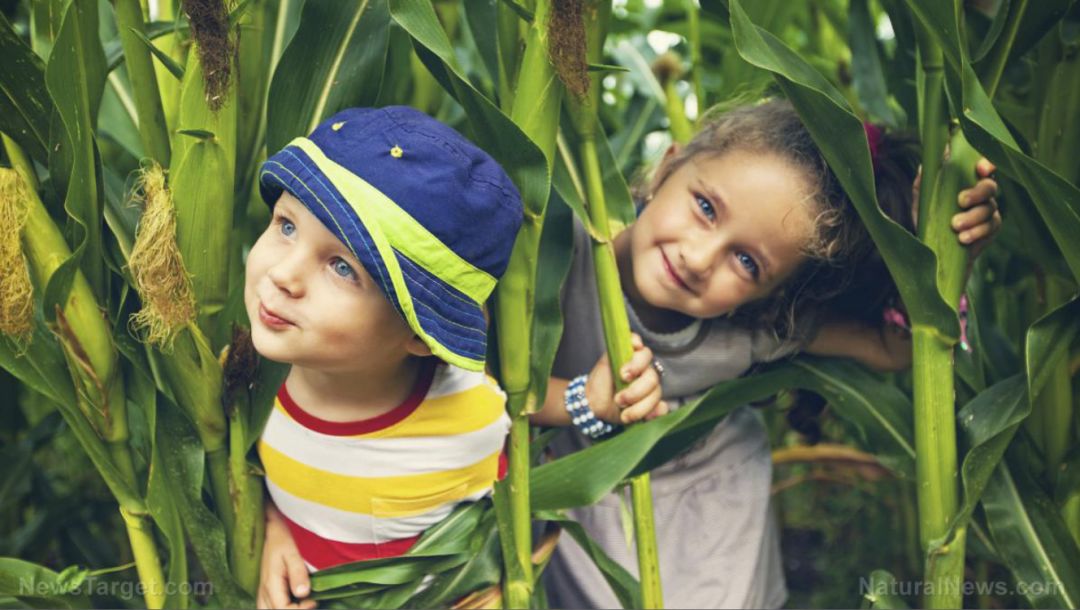宝宝被蚊子咬了出现透明水泡,宝宝被小黑蚊咬过后留了印子