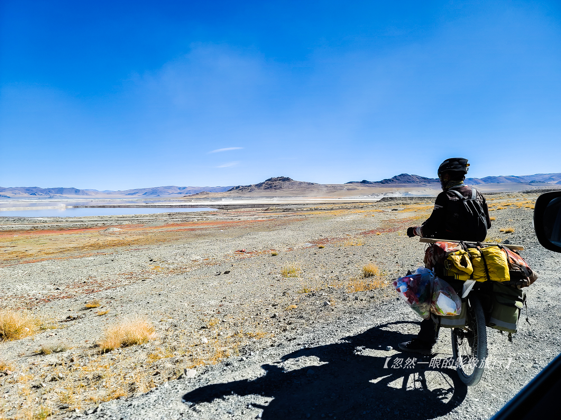 阿里无人区野狼出没,阿里无人区狐狸
