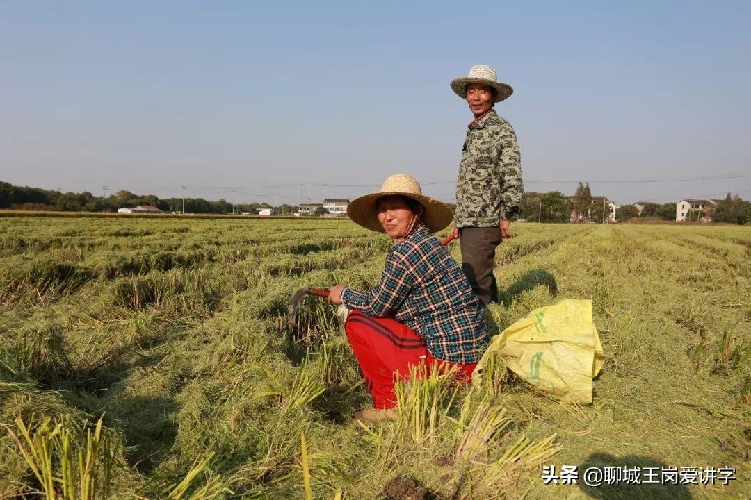 新年礼物背后的故事,过年福字讲解