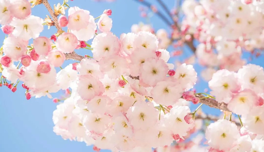 美过三亚!比厦门浪漫!中国这座海滨老城,去一次相当于环游世界