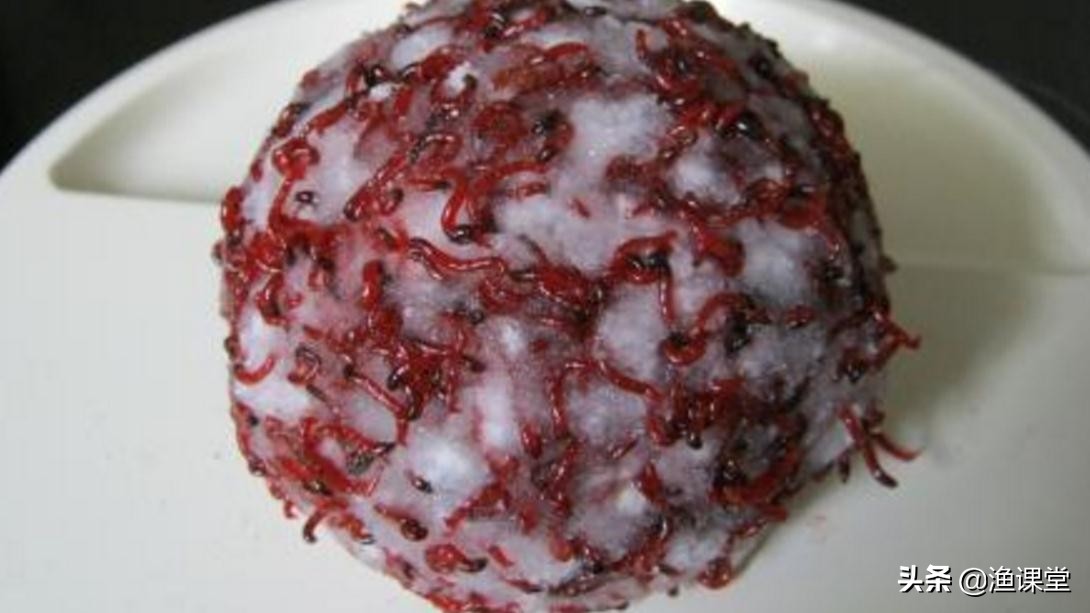 冬季红虫钓鱼最佳时间,冬季钓鱼红虫怎么用