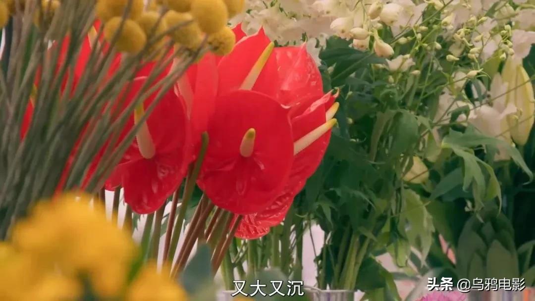 这也能拍出花?网飞又开挂了,每集都让我惊掉下巴