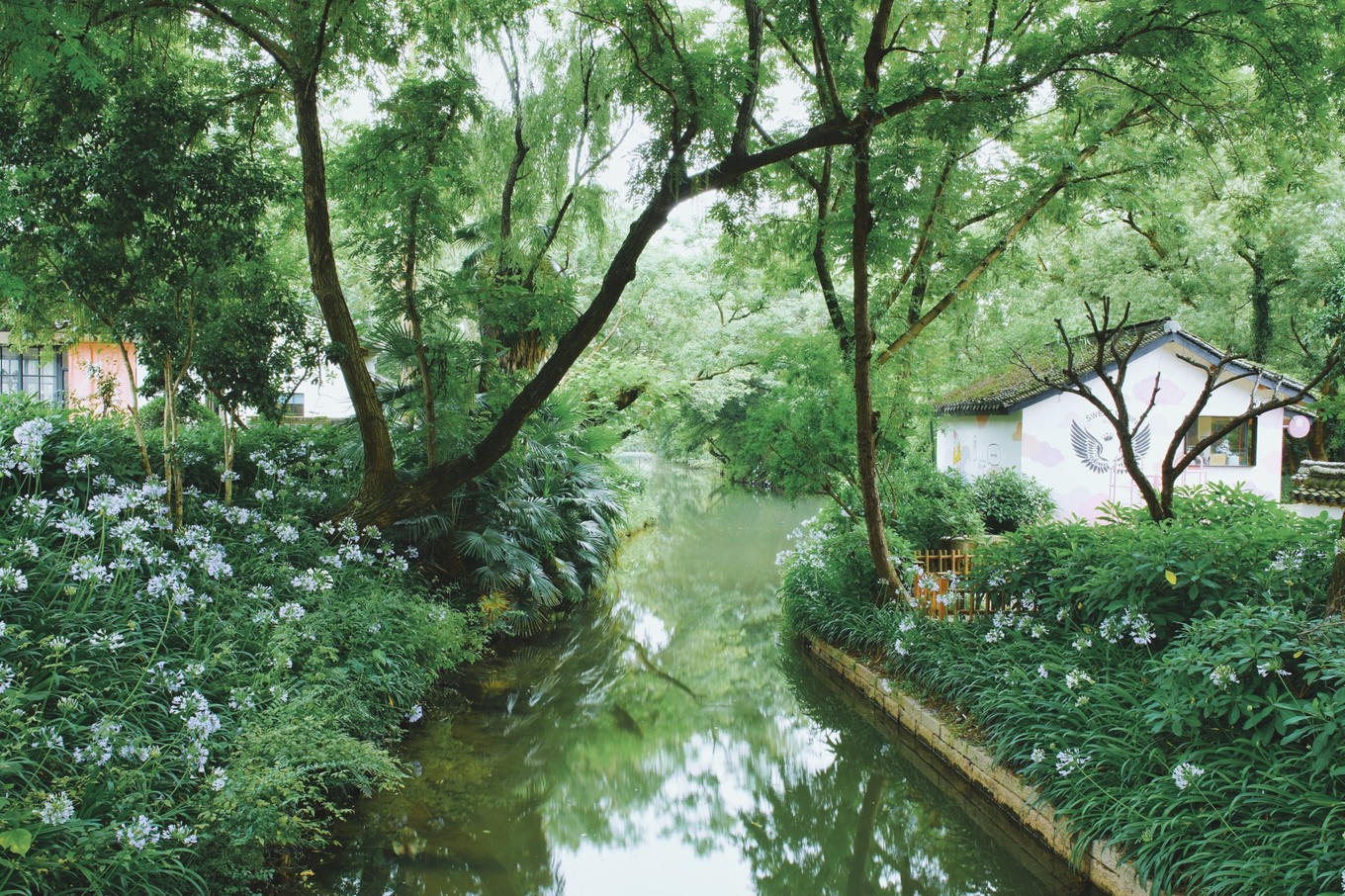 绿色世界花的海洋，在十里芳菲宠爱自己的24小时