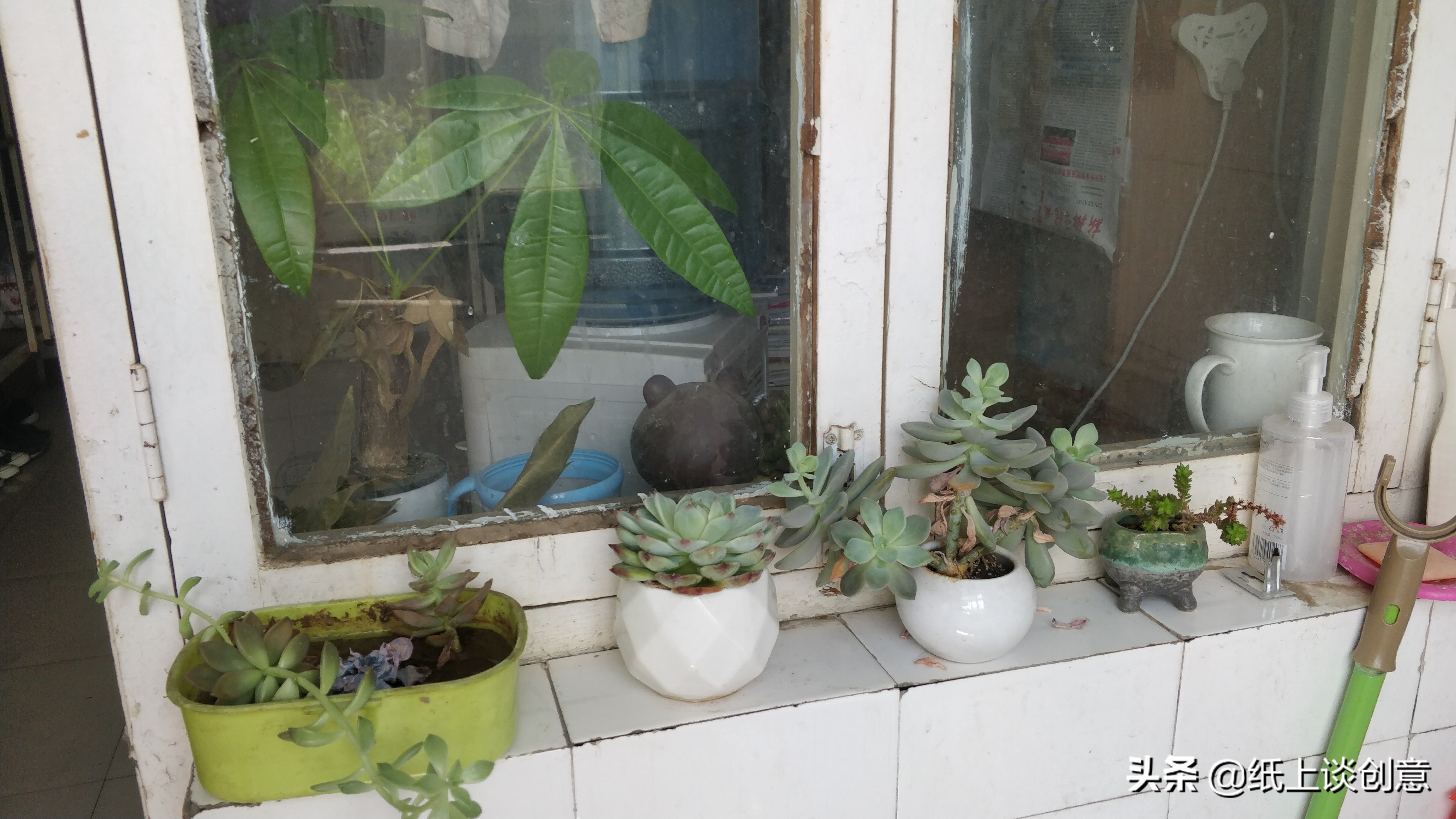 新乡学生返校,河南省新乡大学生返校时间最新