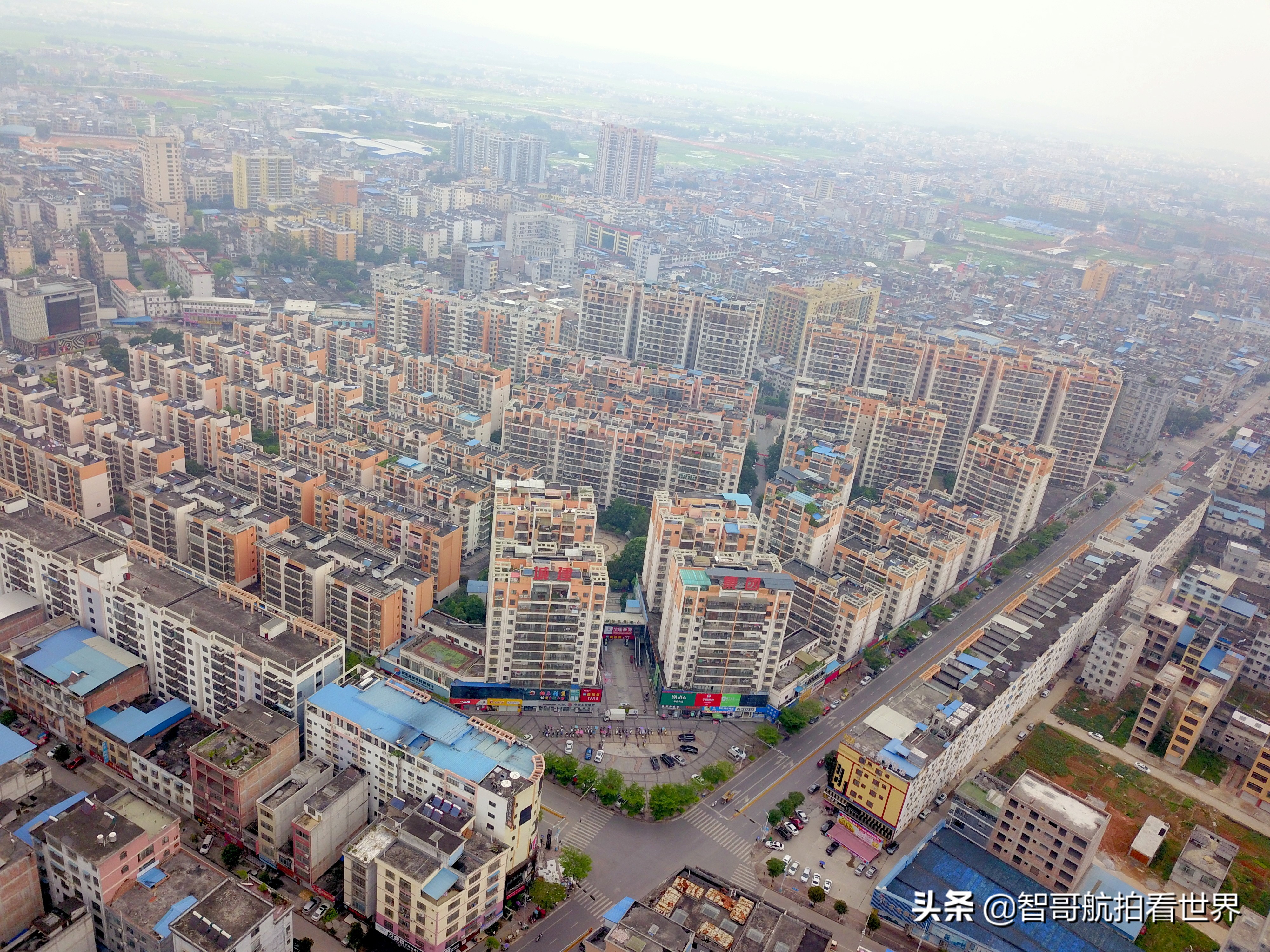 广西宾阳炮龙乡视频,宾阳炮龙之乡新闻