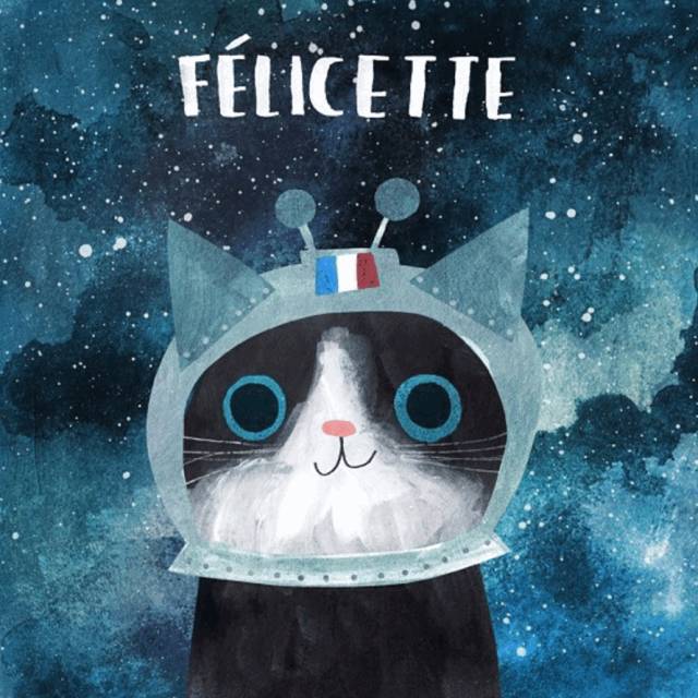 姑娘1天画1只猫坚持了100天 (坚持画猫100天的姑娘太有才了)