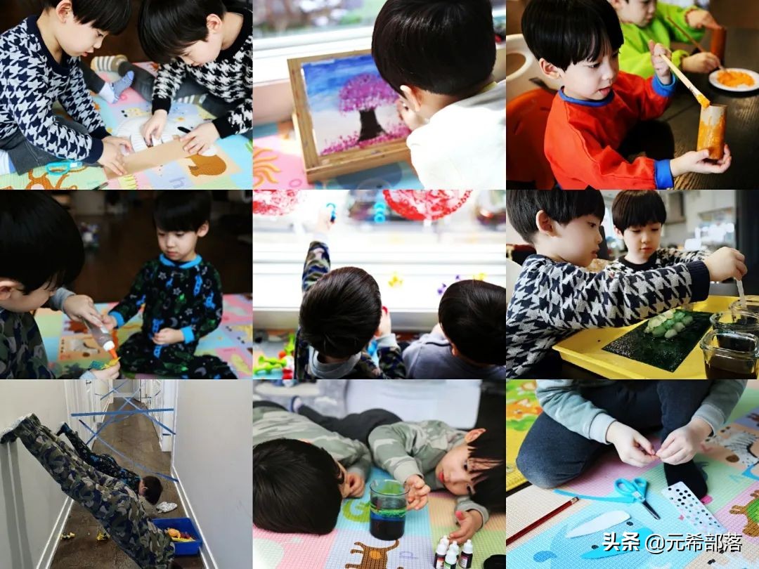 荷兰小镇郁金香盛开,荷兰小镇郁金香花海