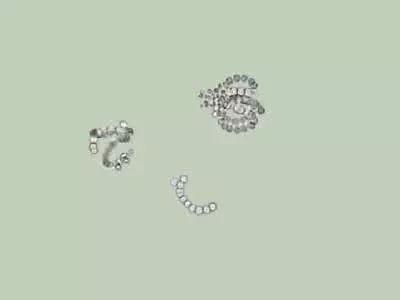 鱼类水产养殖需要哪些藻类,水产养殖显微镜下各种藻类