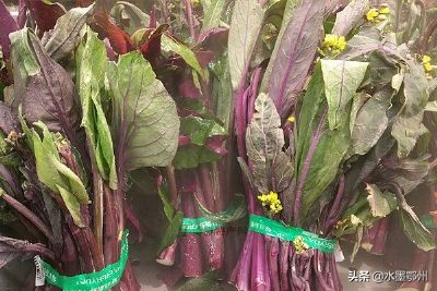 鄂州红菜苔特产,鄂州红菜苔