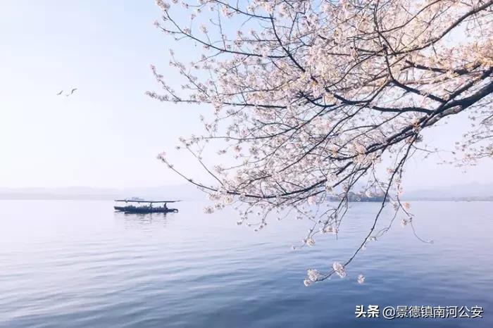 45首最美诗词送给春天,100首最美春天诗句