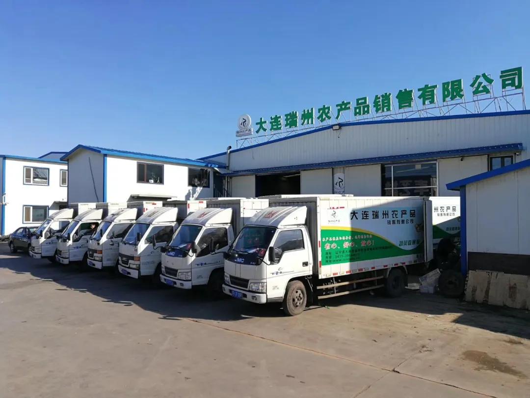 瑞州筑九台助丽农基事业—大连瑞州农产品公司总经理由丽柱