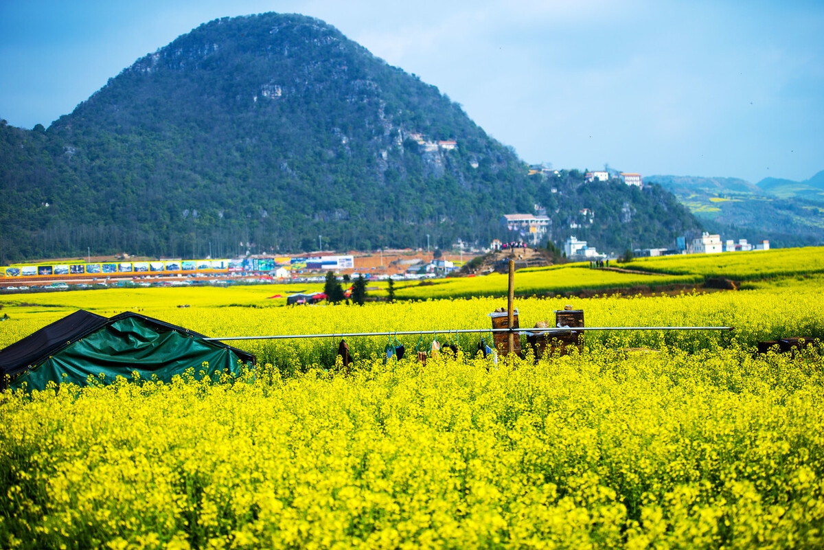 春季自驾游最美路线推荐,春季适合自驾游路线推荐