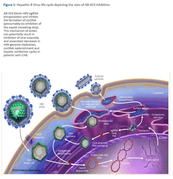 乙肝抗病毒药如何选择,乙肝抗病毒药怎么选择