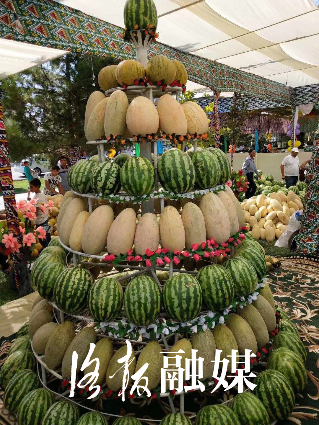 乖乖！洛阳老百姓餐桌上常见的这道食材来自乌兹别克斯坦