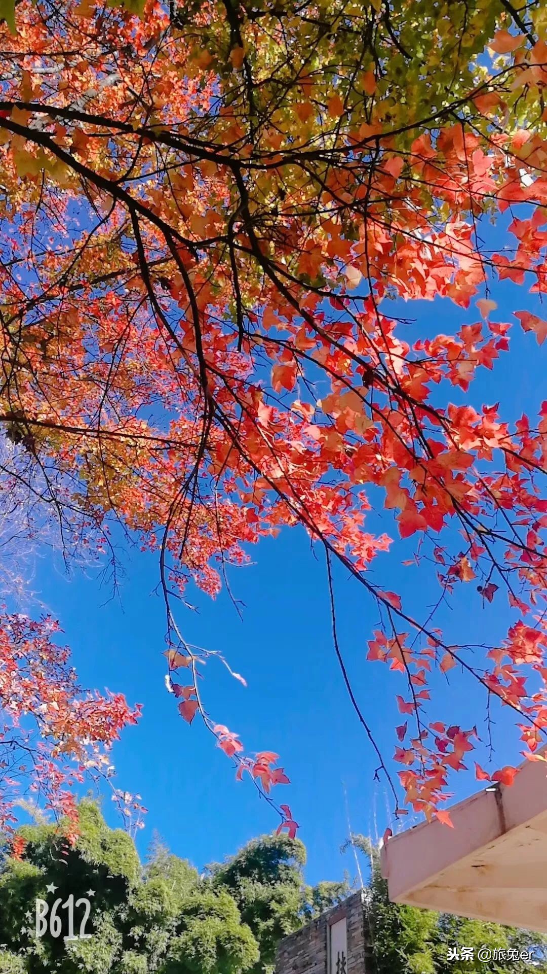 鏄嗘槑璇勪笂鍏ㄧ悆涓夌嚎鍩庡競,鏄嗘槑鏈夊彲鑳芥垚涓哄叏鐞冧笁绾垮煄甯傚悧