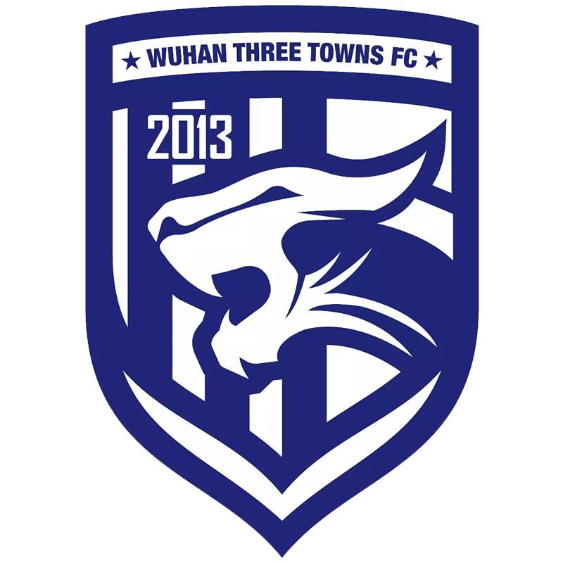 中国足球队历届队徽,中国足球队历年队徽变化