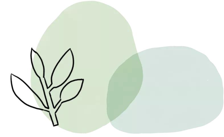 校企合作订单班艺术设计,校企联合定制培养