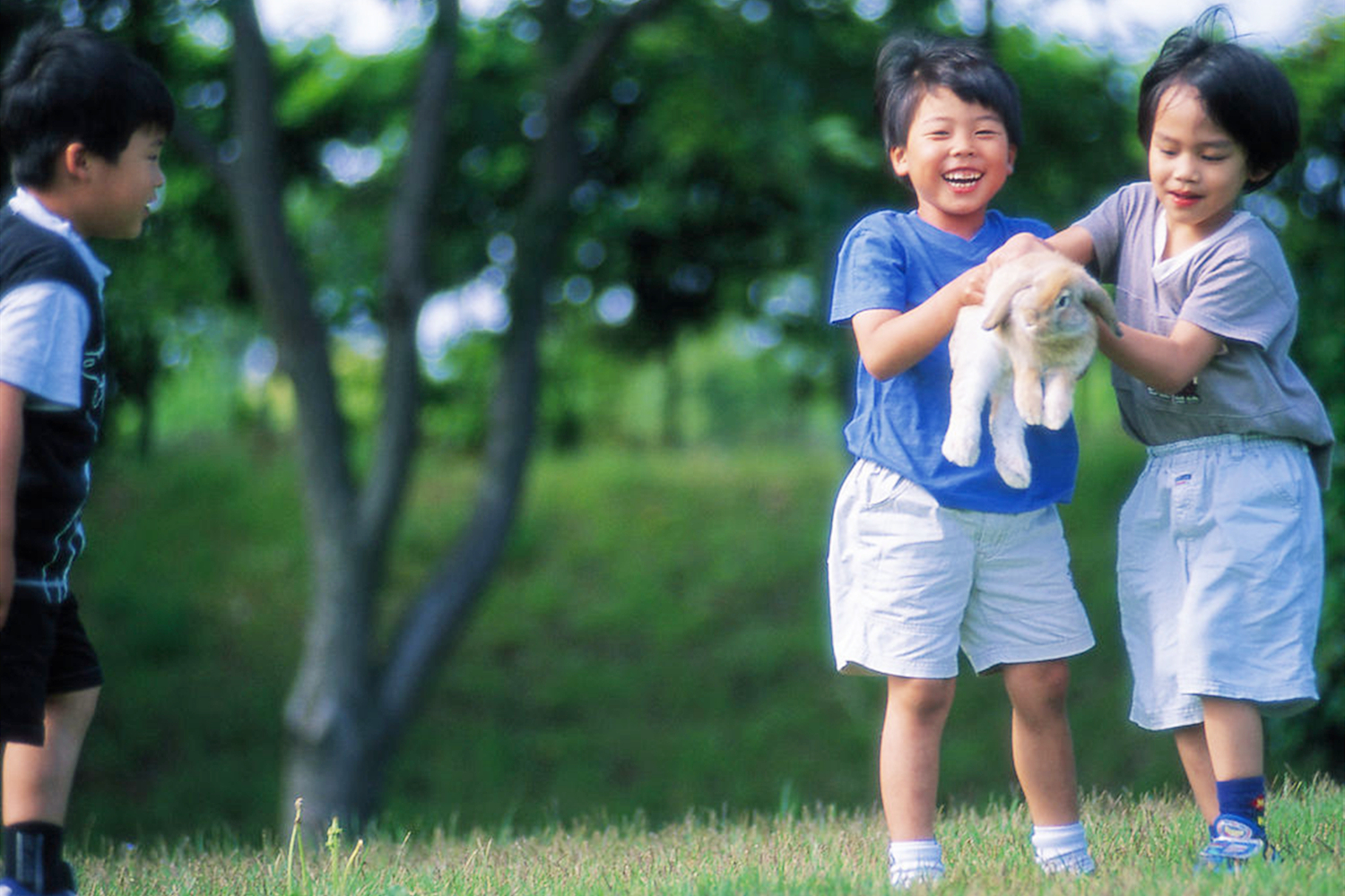 退热贴管用吗大人,退热贴使用误区有哪些