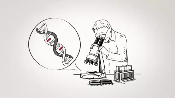 付向东神经元,付向东神经再生