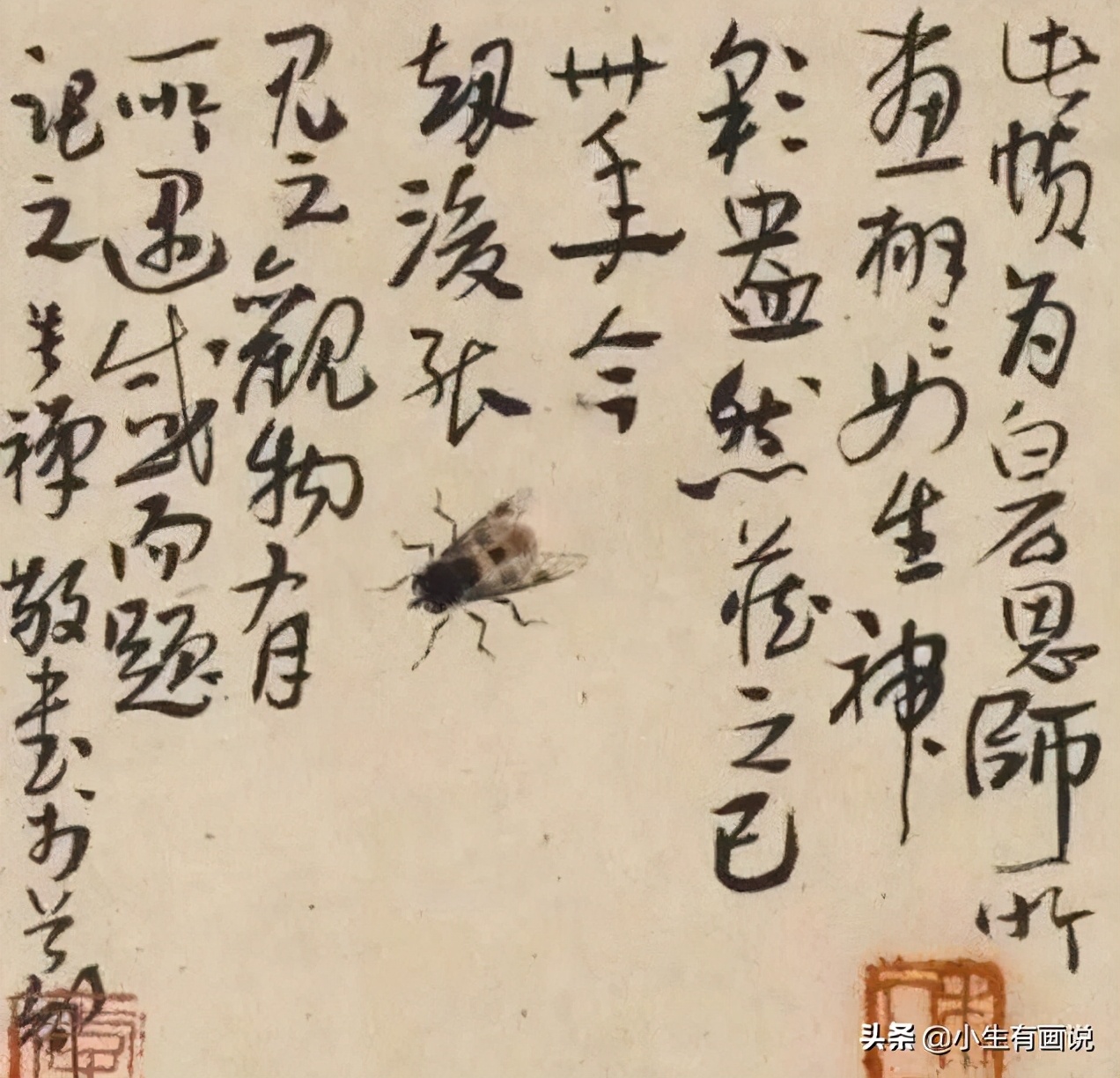 齐白石虫子放大,齐白石花鸟鱼虫黑白