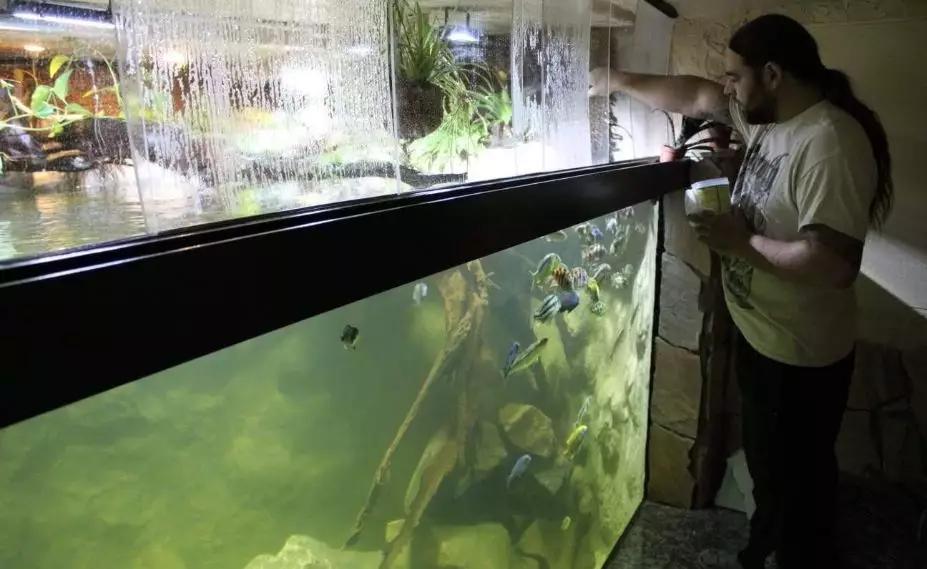 自己做大型水陆缸,在家自己打造一个沙漠缸