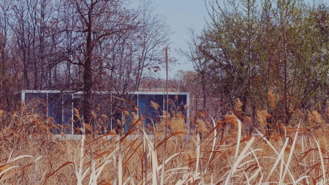 国内必拍的10家最美网红民宿,适合拍照的网红民宿