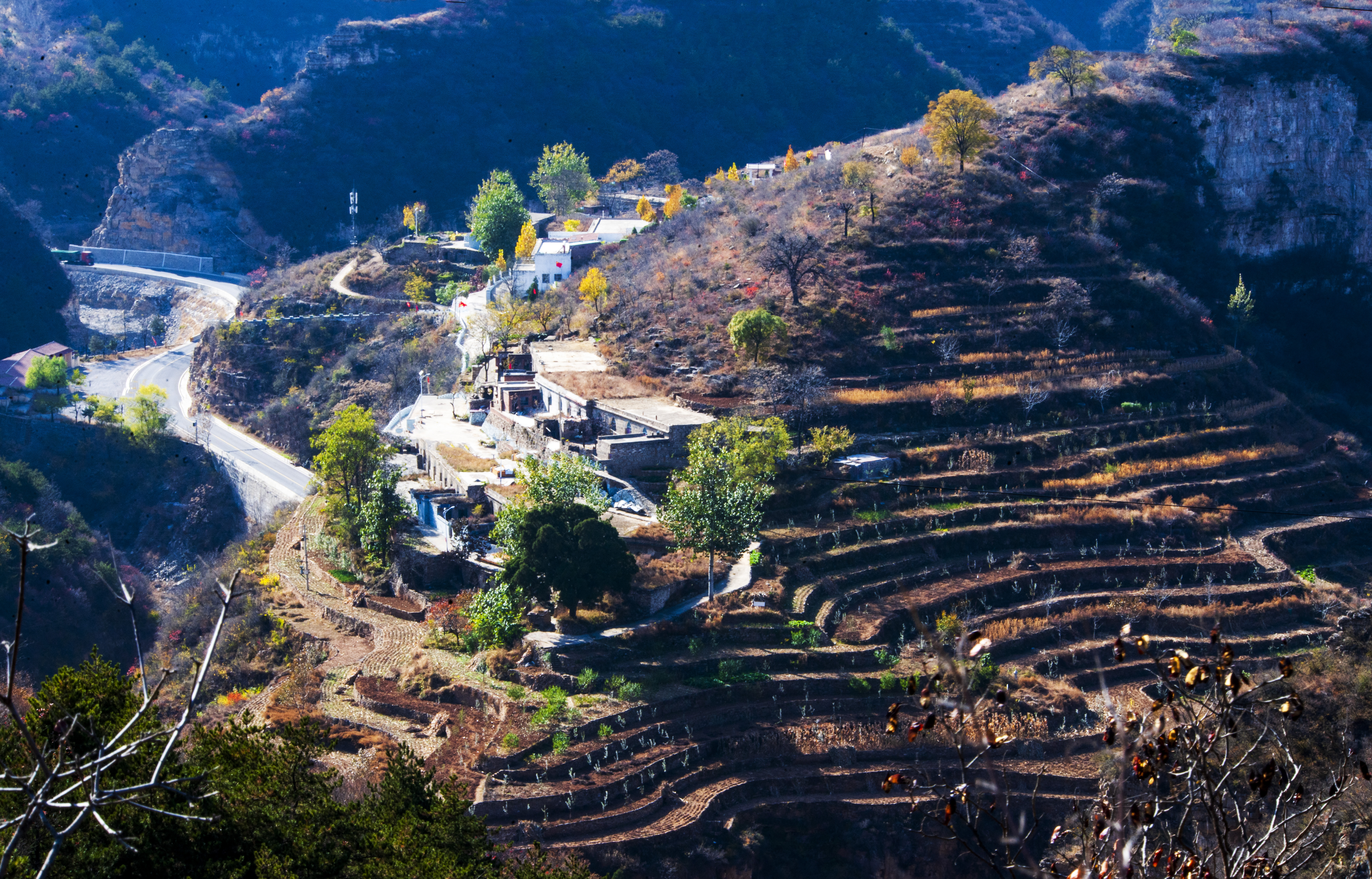 晚秋太行龙纹,晚秋太行红叶