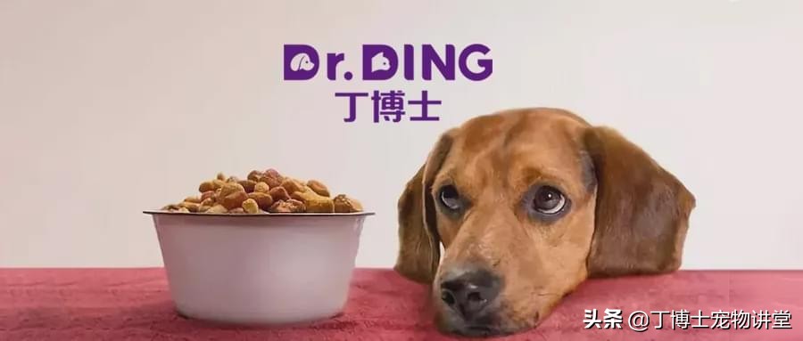 宠物食品店家无需要了解的知识,宠物食品从哪几个方面入手